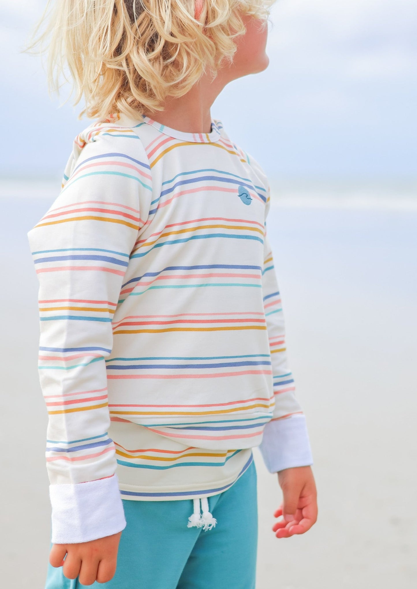 Coastal Stripe Hoodie